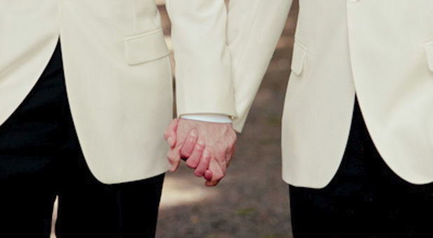 gay grooms hold hands