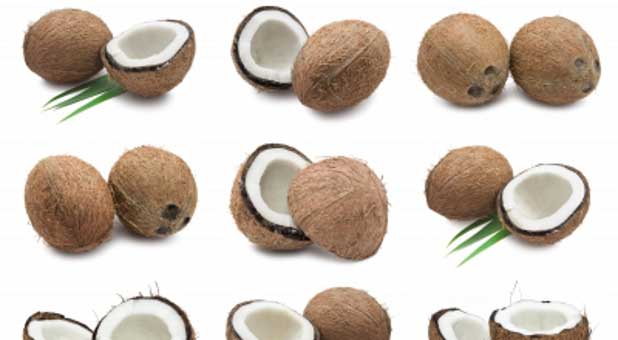 Coconut products are not only good for your children, but for you as well.