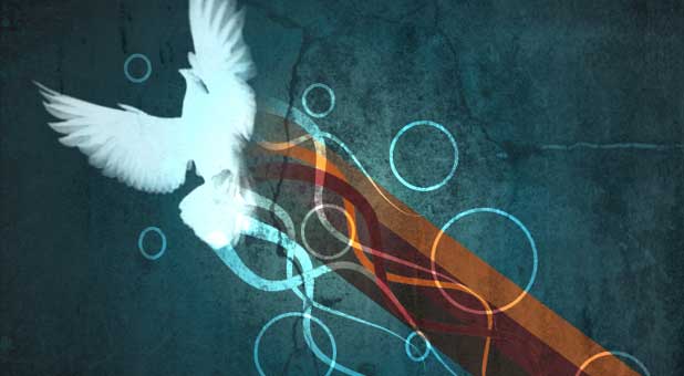 2014 spirit supernatural holy spirit dove
