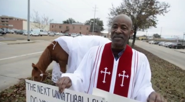 A Mississippi pastor protested gay marriage by dressing a horse in a wedding dress.