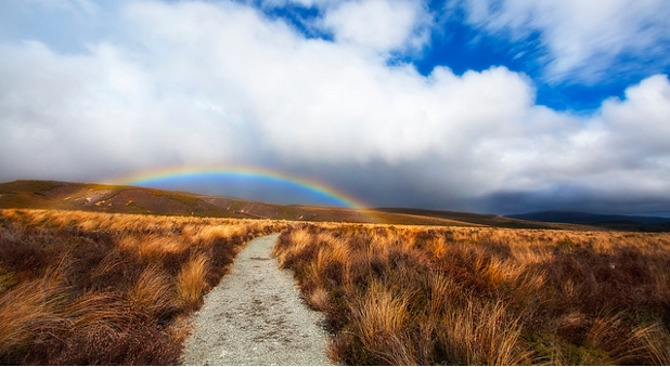 new path with rainbow