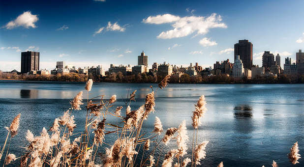 Luis Palau Invading New York City’s Central Park With Gospel - Charisma ...