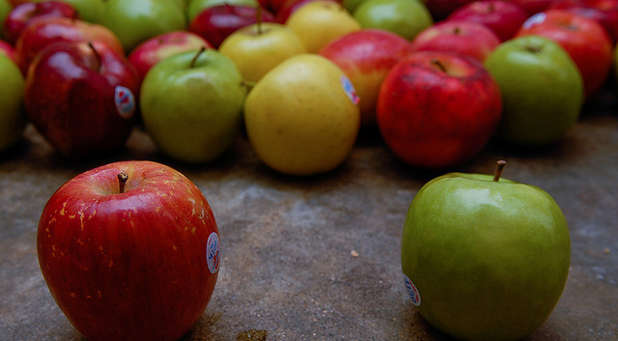 You should never buy apples that are not organic.