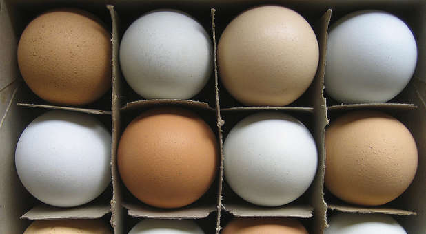 Once thought to be something you should avoid in your diet, studies now show that eggs are good for you.