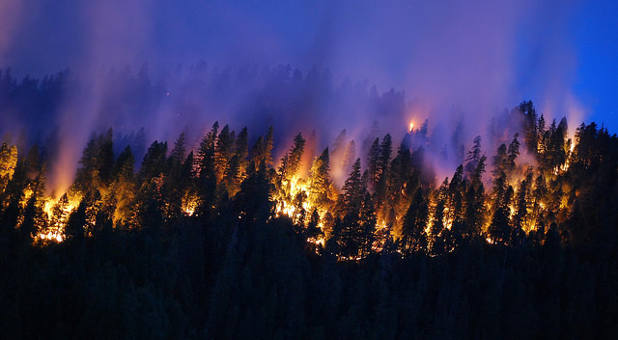A California forest burns in 2014.