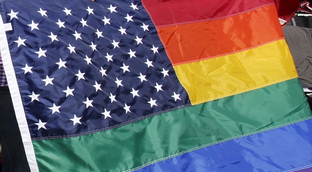 2015 politics USFlag LGBT CROP Reuters