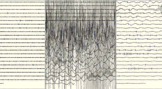 A seismograph depicting the daylong shaking caused by the 2011 earthquake in Japan. Scientists predict the Cascadia one to be even stronger, in a region that is far less prepared.