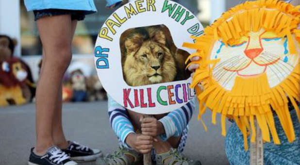America is more upset about the death of a lion than the death of millions of children.