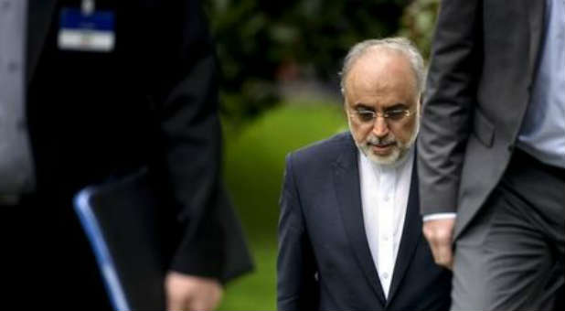 Ali Akbar Salehi is the head of Iran's Atomic Energy Organization.
