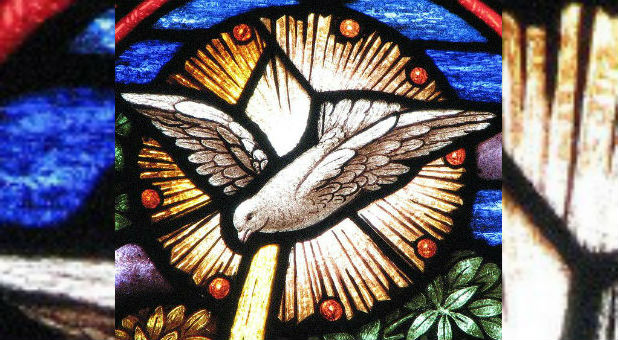 2015 featured news Flickr Holy Spirit Dove