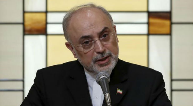 Iran's head of the country's Atomic Energy Organization, Ali Akbar Salehi