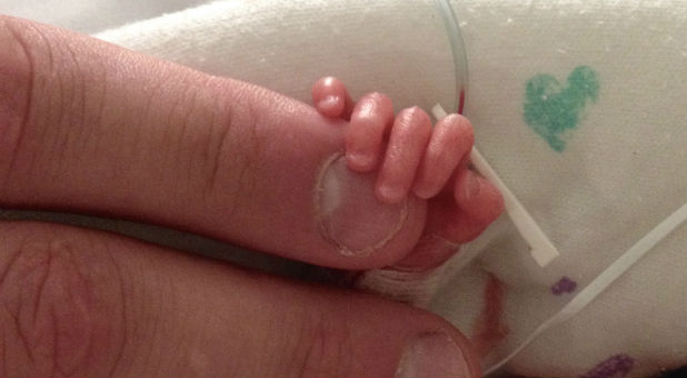 A 23-week-old holds the hand of an adult.