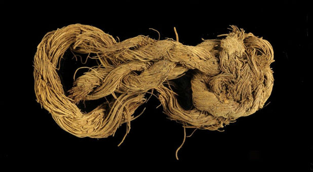 Rope made of the fibers of a date palm tree found at Site 34.