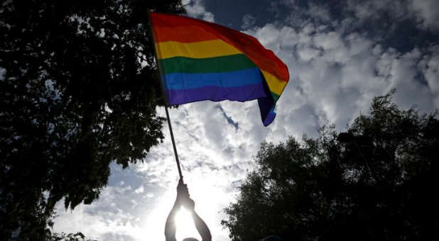 A man waves an LGBT equality rainbow flag at a celebration rally.