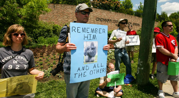 People stand outside the Cincinnati Zoo where Harambe the gorilla was shot and killed.