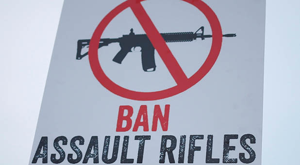 Gun Control Protest Sign