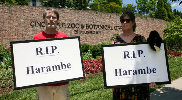People attend a vigil for a gorilla outside the Cincinnati Zoo, in Cincinnati, Ohio