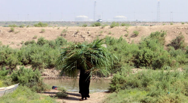 A marsh Arab woman carries a bundle of grass in Nassiriya, southeast of Baghdad, Iraq