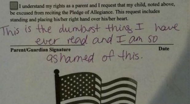 Florida's Pledge of Allegiance waiver should not come as a surprise to readers of this column. I've long documented the attack on patriotism in our public school system.