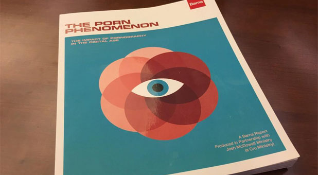 Cover of The Porn Phenomenon book