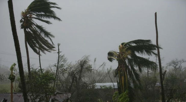 Trees damaged by wind are seen during Hurricane Matthew in Les Cayes