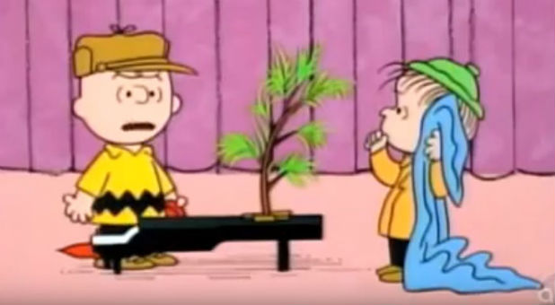Linus prepares to tell Charlie Brown all about Christmas.