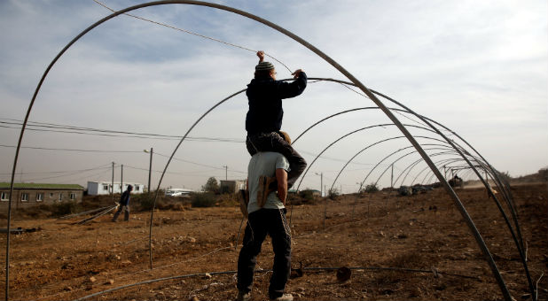 Israeli teenagers erect tent frames as they prepare for an expected eviction of the Jewish settlement outpost of Amona in the West Bank