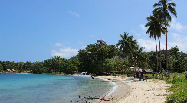 One of the Solomon Islands