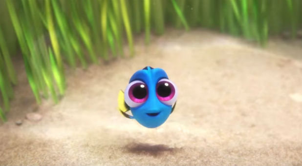 Baby Dory in 'Finding Dory'