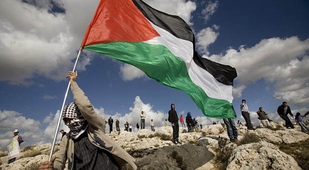 Palestinian with flag