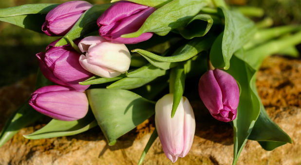 According to the Washington Supreme Court, when Christian florist Barronelle Stutzman declined to do the floral arrangements for a same-sex