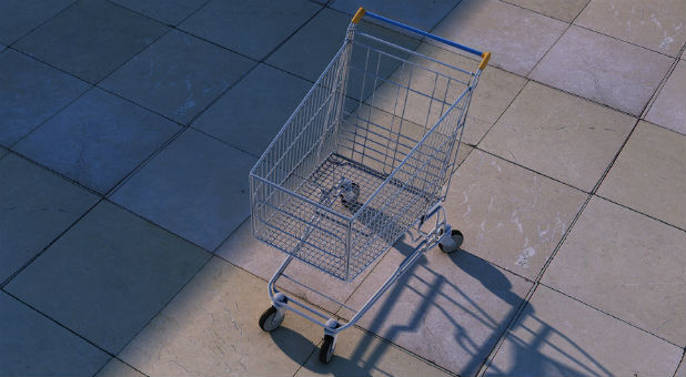 Abductors allegedly tried to kidnap a toddler from a shopping cart recently.