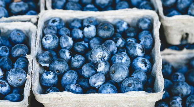 2017 life Health blueberries cartons