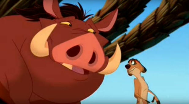 'Lion King' characters Timon and Pumbaa.