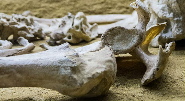2017 blogs Prophetic Insight skeleton bones dry