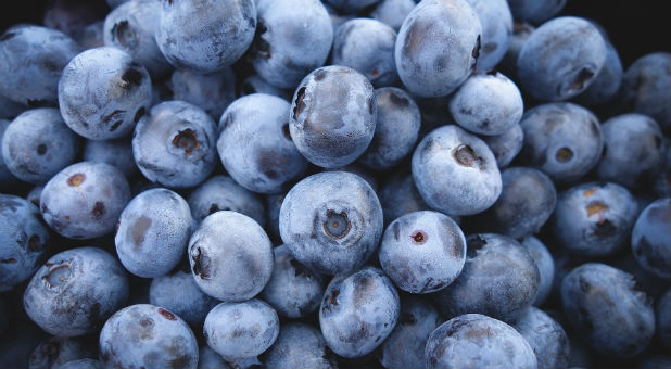But this year, city officials told the devout Catholic family their blueberries and sweet corn were not welcome at the farmer’s market—and neither were they.