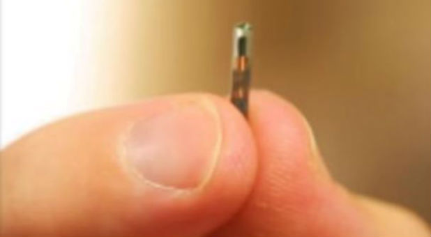 A Wisconsin-based company is the first in the United States to offer employees the chance to implant a microchip between their thumb and forefinger to pay for snacks out of the vending machine, among other uses.