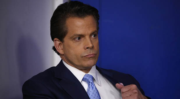 White House Communications Director Steve Scaramucci