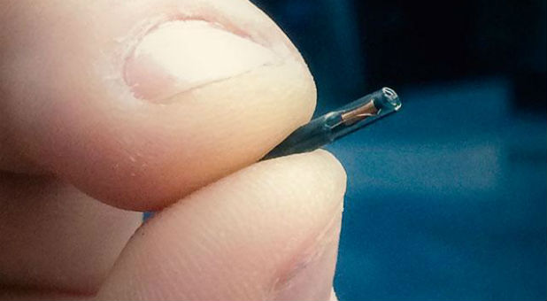 A Wisconsin company's recent decision to give its employees the opportunity to get microchip implants in their hands sparked a national debate.