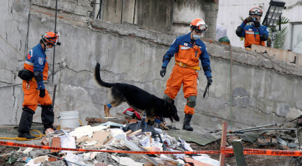 Members from Japan rescue team with their dog search for survivors in the rubble of a collapsed building after an earthquake in Mexico City, Mexico.