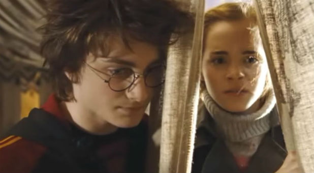 Daniel Radcliffe as Harry Potter and Emma Watson as Hermione Granger