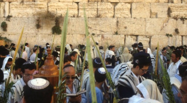 Jews pray with lulav during Sukkot at the Western Wall in Jerusalem.