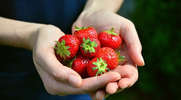 2019 blogs Prophetic Insight strawberries