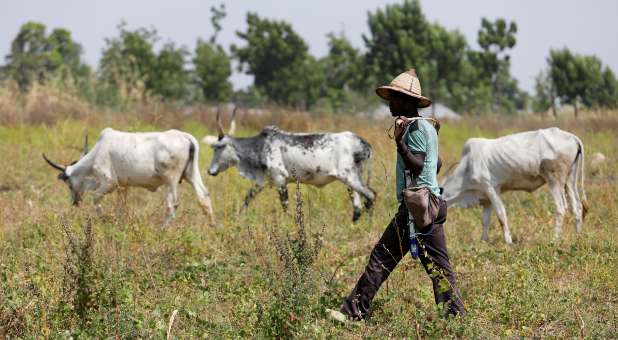 2020 07 Reuters Fulani herdsmen