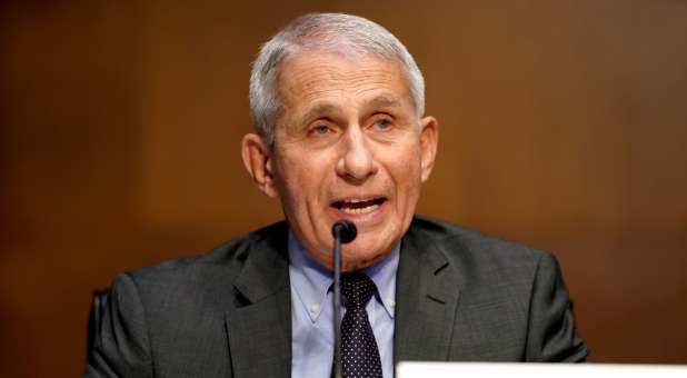 Dr. Anthony Fauci gives an opening statement during a Senate Health, Education, Labor and Pensions Committee hearing