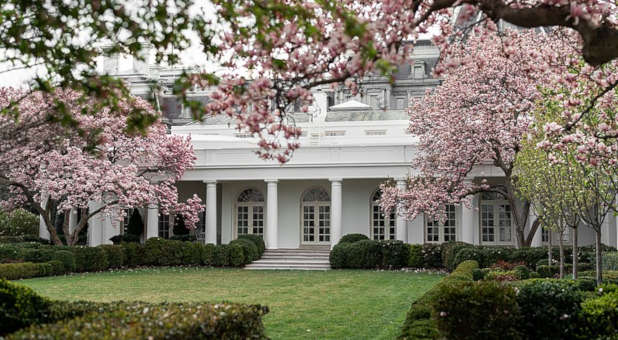 2021 8 White house Rose Garden