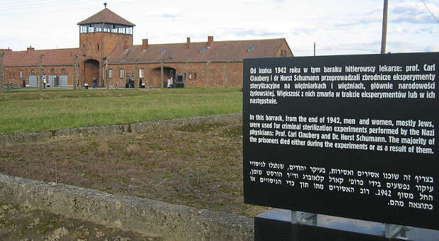 2022 1 Auschwitz Birkenau