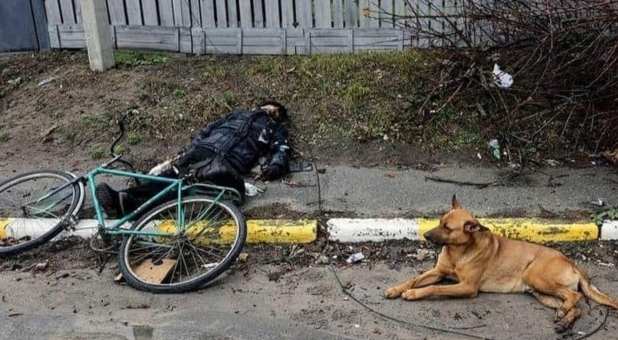 A man tried to escape Bucha on his bicycle. Although he was killed, the dog remained by his side for days. (Image blurred due to graphic nature.)
