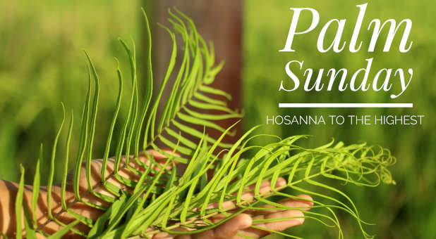 2023 3 Palm Sunday