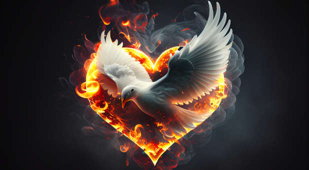 Dove and a heart on fire.